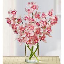 Pink Cymbidium Orchid: Bithday flower bouquets
